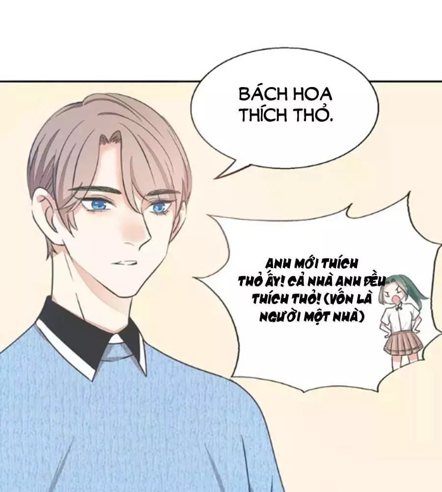 đọc truyện Mùi Hương Lãng Mạn Chương 38 ảnh 18 tại Thiên Thai Truyện