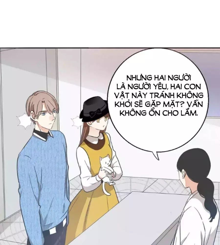 đọc truyện Mùi Hương Lãng Mạn Chương 38 ảnh 21 tại Thiên Thai Truyện