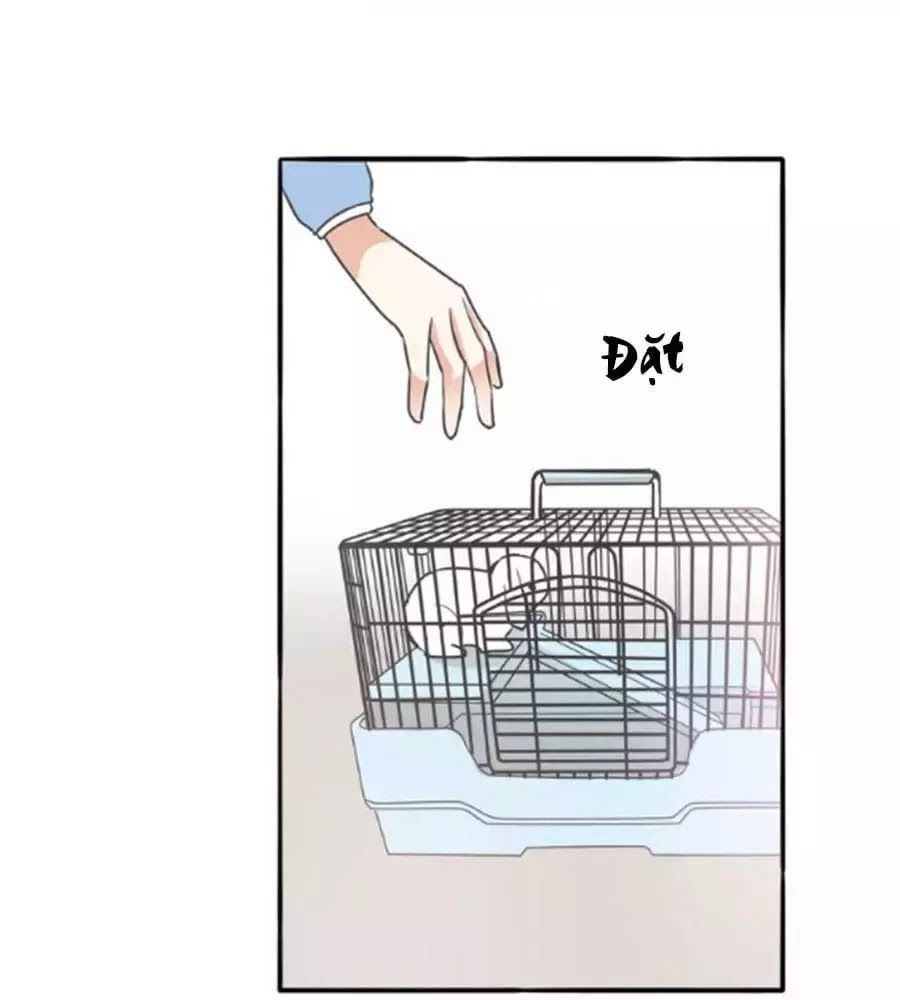 đọc truyện Mùi Hương Lãng Mạn Chương 38 ảnh 28 tại Thiên Thai Truyện