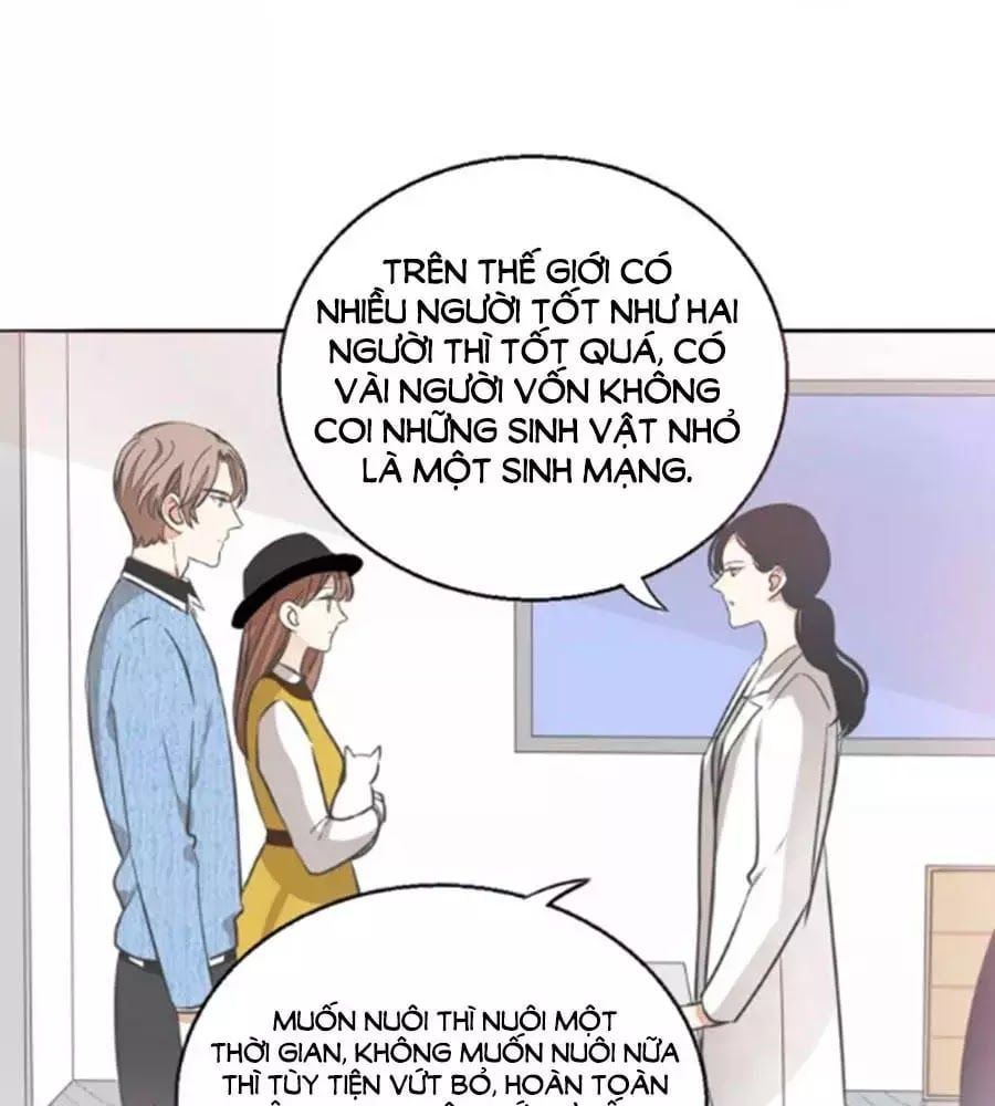 đọc truyện Mùi Hương Lãng Mạn Chương 38 ảnh 7 tại Thiên Thai Truyện