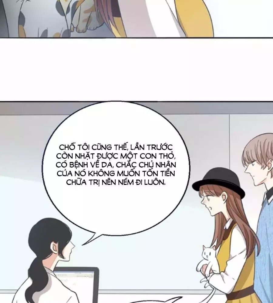 đọc truyện Mùi Hương Lãng Mạn Chương 38 ảnh 10 tại Thiên Thai Truyện