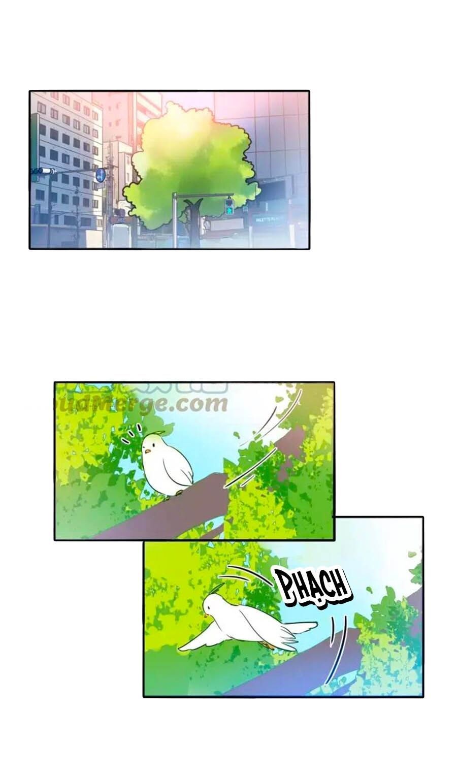 đọc truyện Mùi Hương Lãng Mạn Chương 53 ảnh 18 tại Thiên Thai Truyện