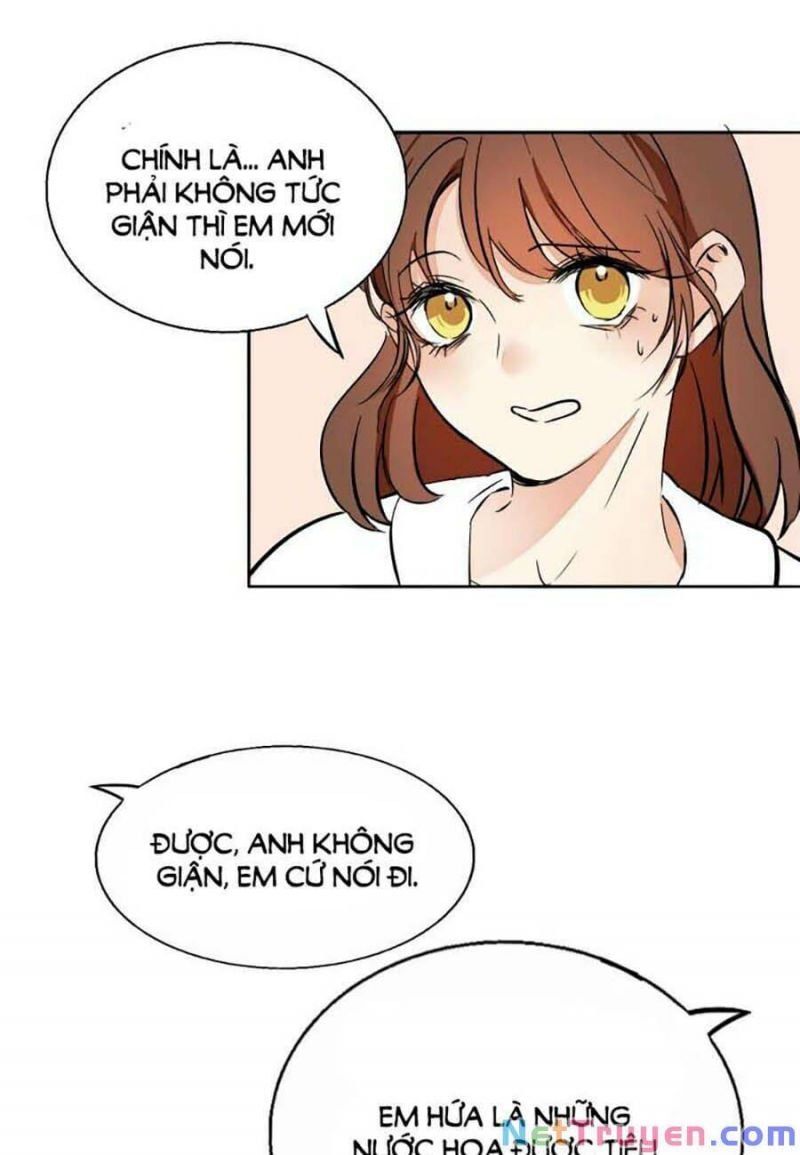 đọc truyện Mùi Hương Lãng Mạn Chương 92 ảnh 55 tại Thiên Thai Truyện