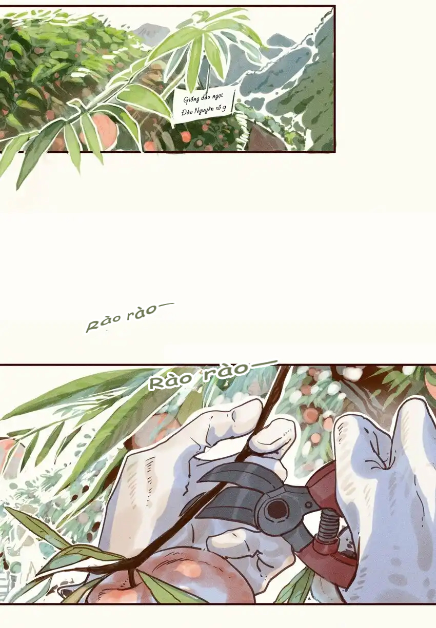 đọc truyện My Dear Lass Chương 1 ảnh 3 tại Thiên Thai Truyện