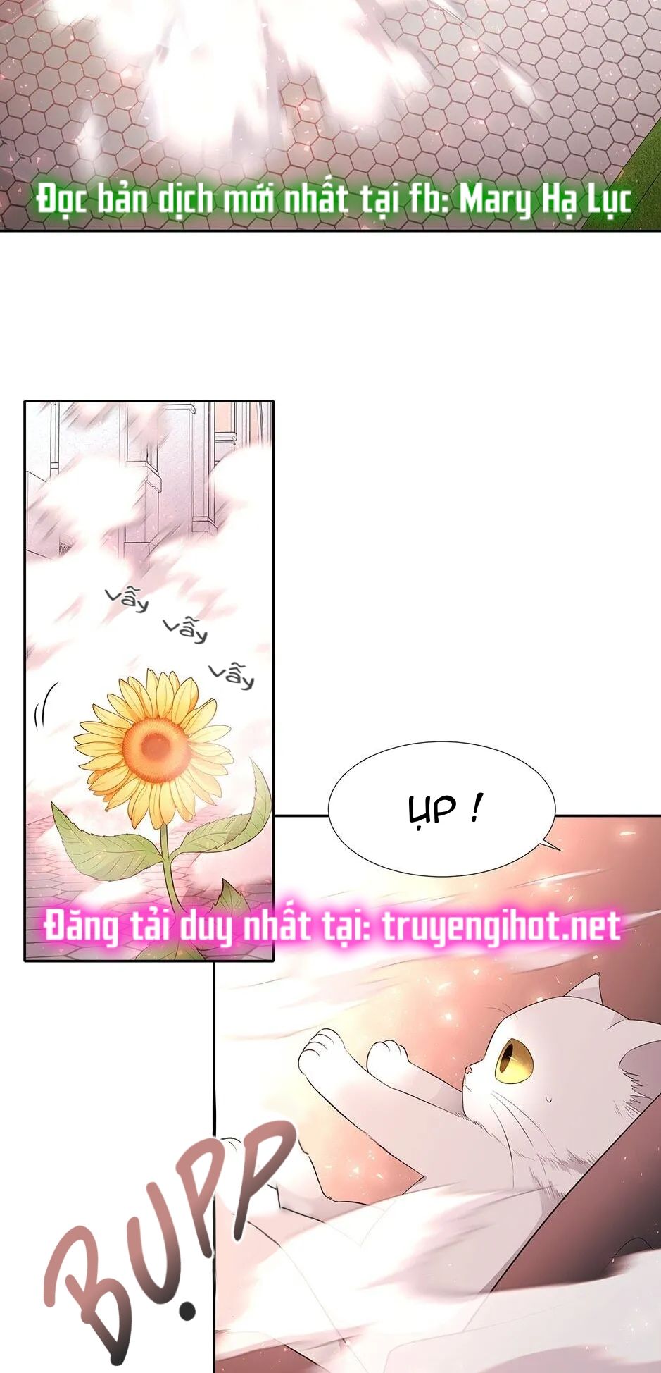đọc truyện Năm Môn Đệ Của Charlotte Chương 62 ảnh 13 tại Thiên Thai Truyện