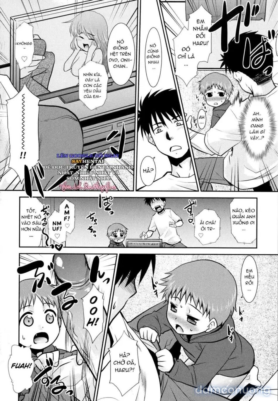 đọc truyện Nàng Em Gái Phiêu Lãng Chương 0 Đến 1 Và 9 Chương 2 ảnh 7 tại Thiên Thai Truyện