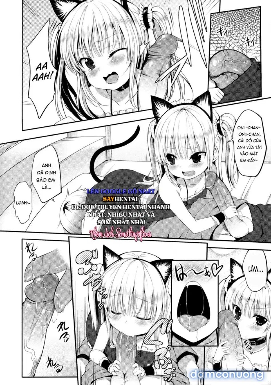 đọc truyện Nàng Kobato Vũ Điệu Phơi Bày Chương 1 ảnh 4 tại Thiên Thai Truyện