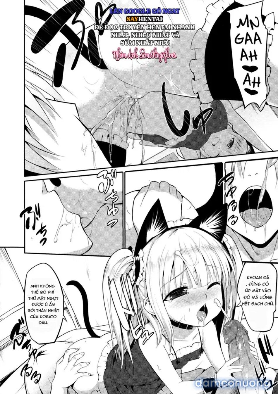 đọc truyện Nàng Kobato Vũ Điệu Phơi Bày Chương 1 ảnh 6 tại Thiên Thai Truyện