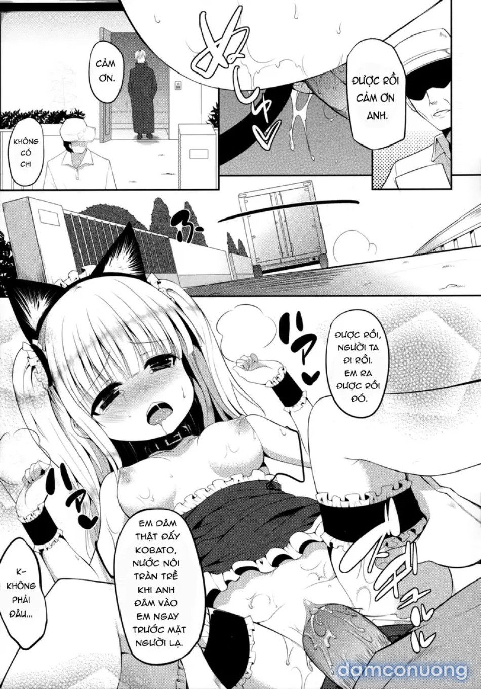 đọc truyện Nàng Kobato Vũ Điệu Phơi Bày Chương 1 ảnh 11 tại Thiên Thai Truyện