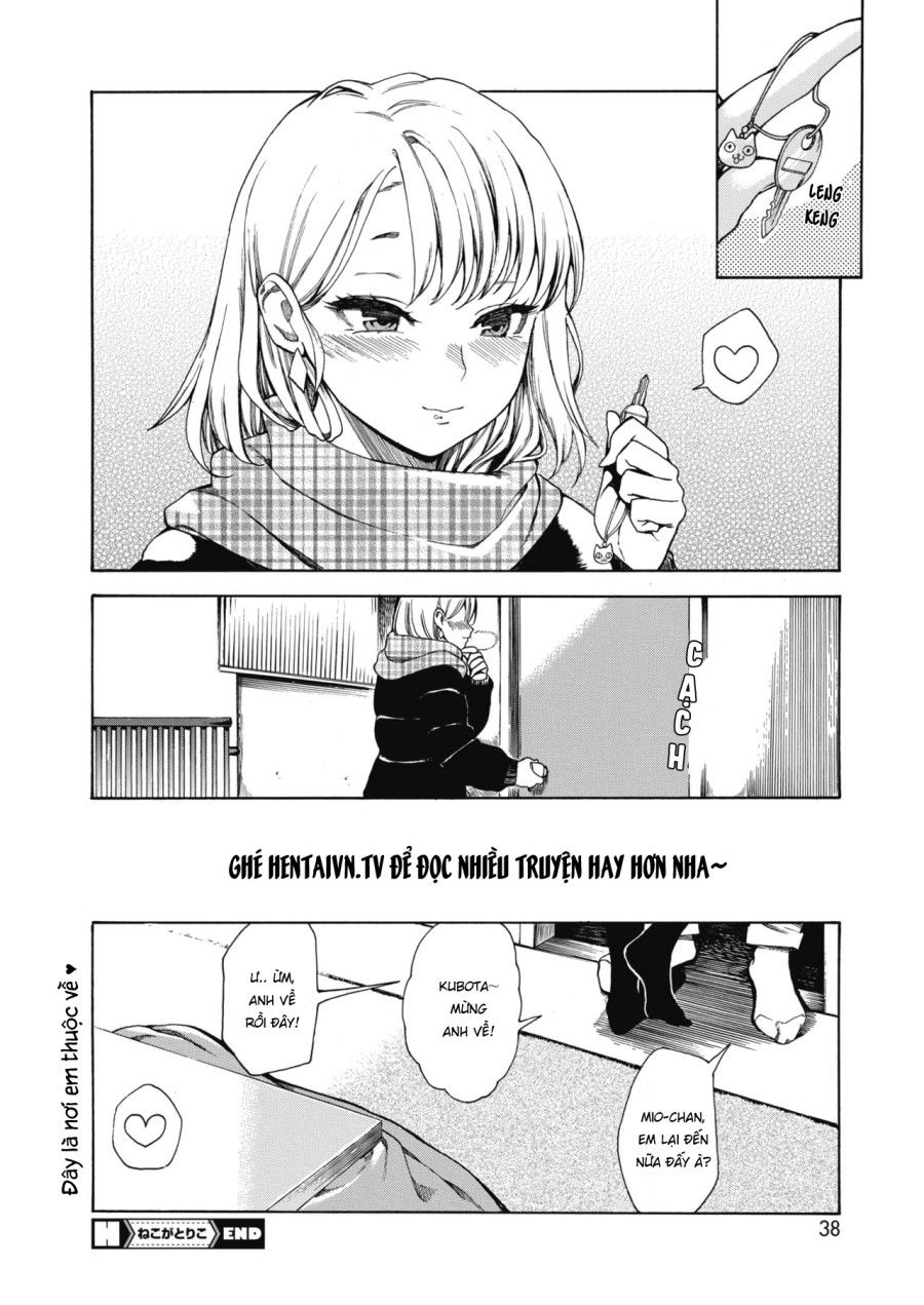 đọc truyện Nàng Mèo Khó Cưỡng Oneshot ảnh 22 tại Thiên Thai Truyện