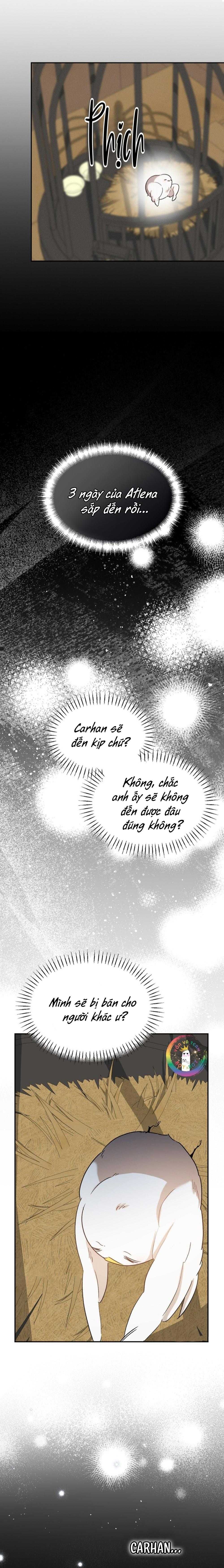 đọc truyện Này, Đừng Có Nhấn Cái Nút Đó! Chương 61 ảnh 21 tại Thiên Thai Truyện