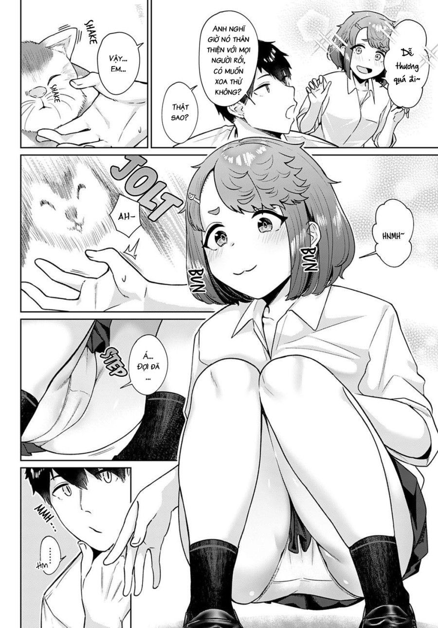 đọc truyện Neko Nochi Amayadori Oneshot ảnh 3 tại Thiên Thai Truyện