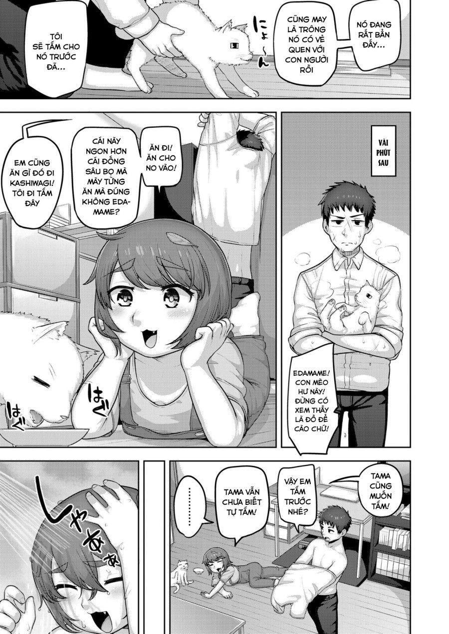 Nekoka No Cinderella Chương 0 page 4 - Giả Dược