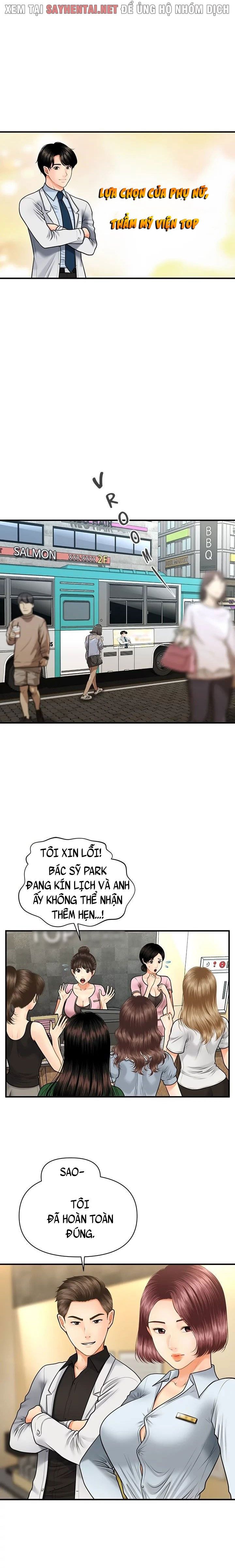 đọc truyện Nét Đẹp Hoàn Hảo Chương 13 ảnh 2 tại Giả Dược