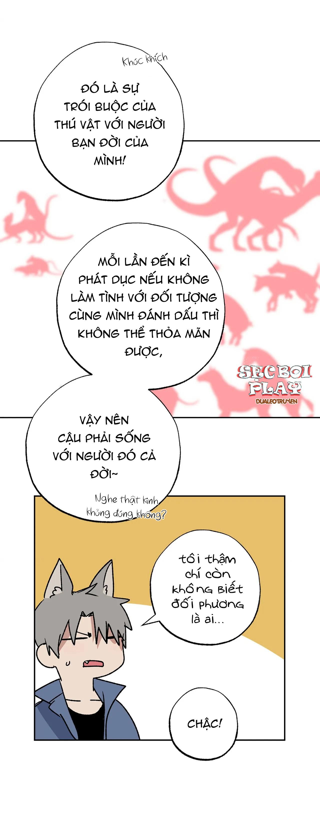 đọc truyện New Romance Chương 14 ảnh 13 tại Thiên Thai Truyện