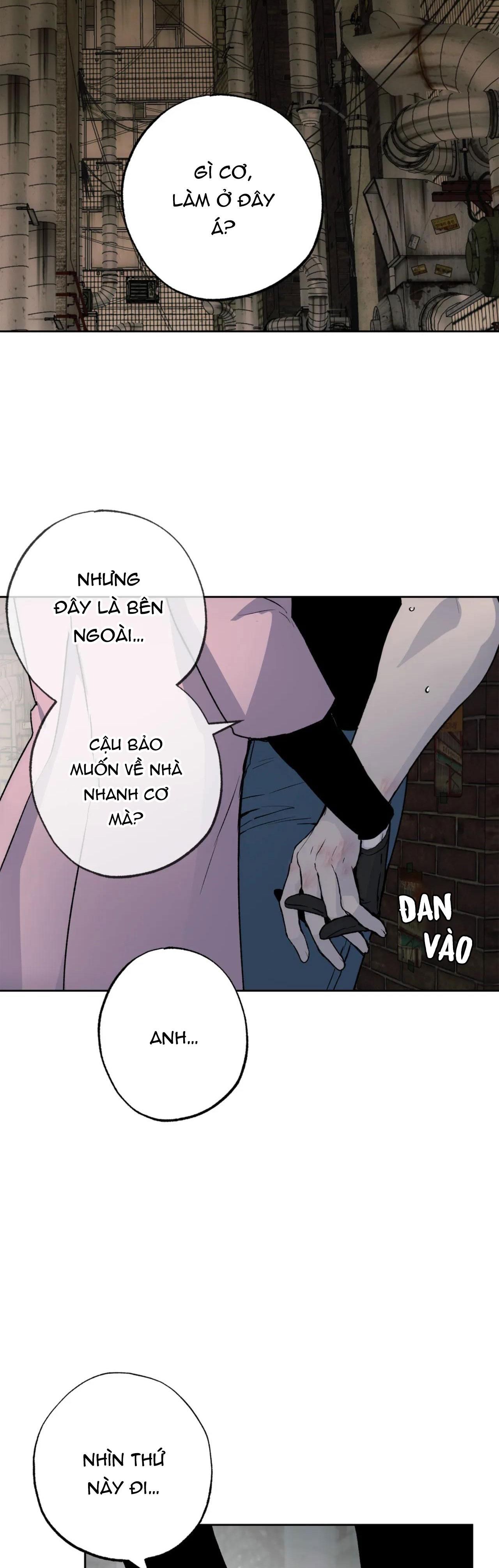 đọc truyện New Romance Chương 23 ảnh 25 tại Thiên Thai Truyện