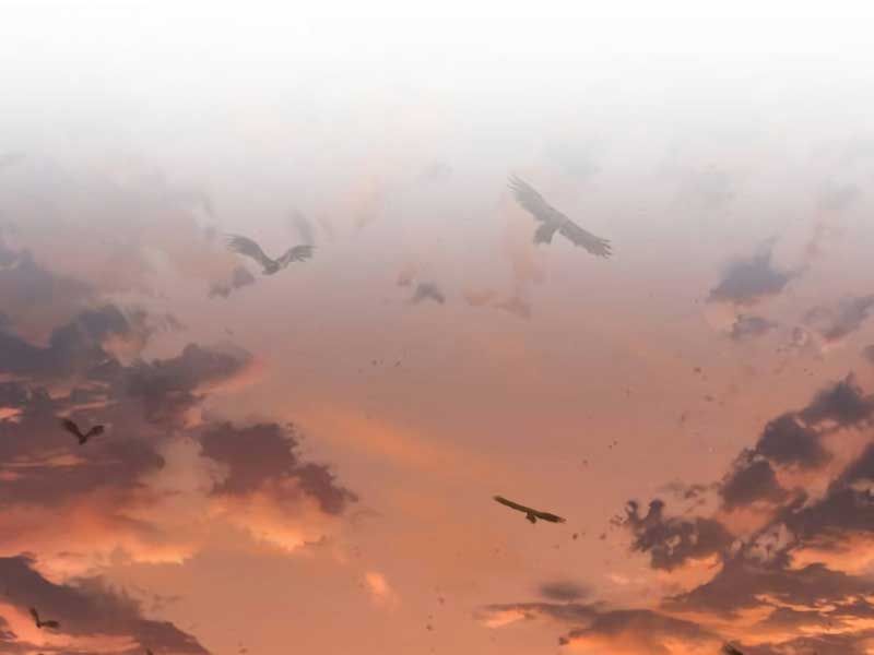 đọc truyện Ngã Lão Ma Thần Chương 186 ảnh 170 tại Thiên Thai Truyện