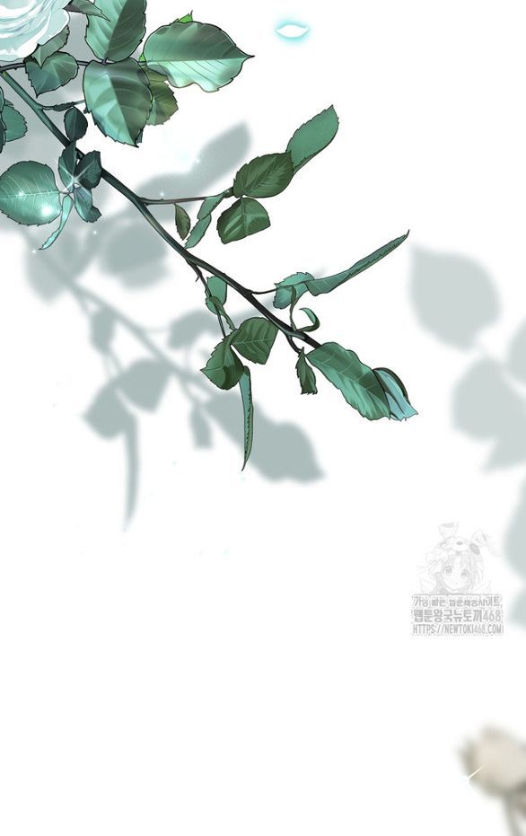 đọc truyện Ngài Công Tước, Tôi Sẽ Làm Mọi Thứ, Trừ Việc Kết Hôn! Chương 12 ảnh 51 tại Giả Dược