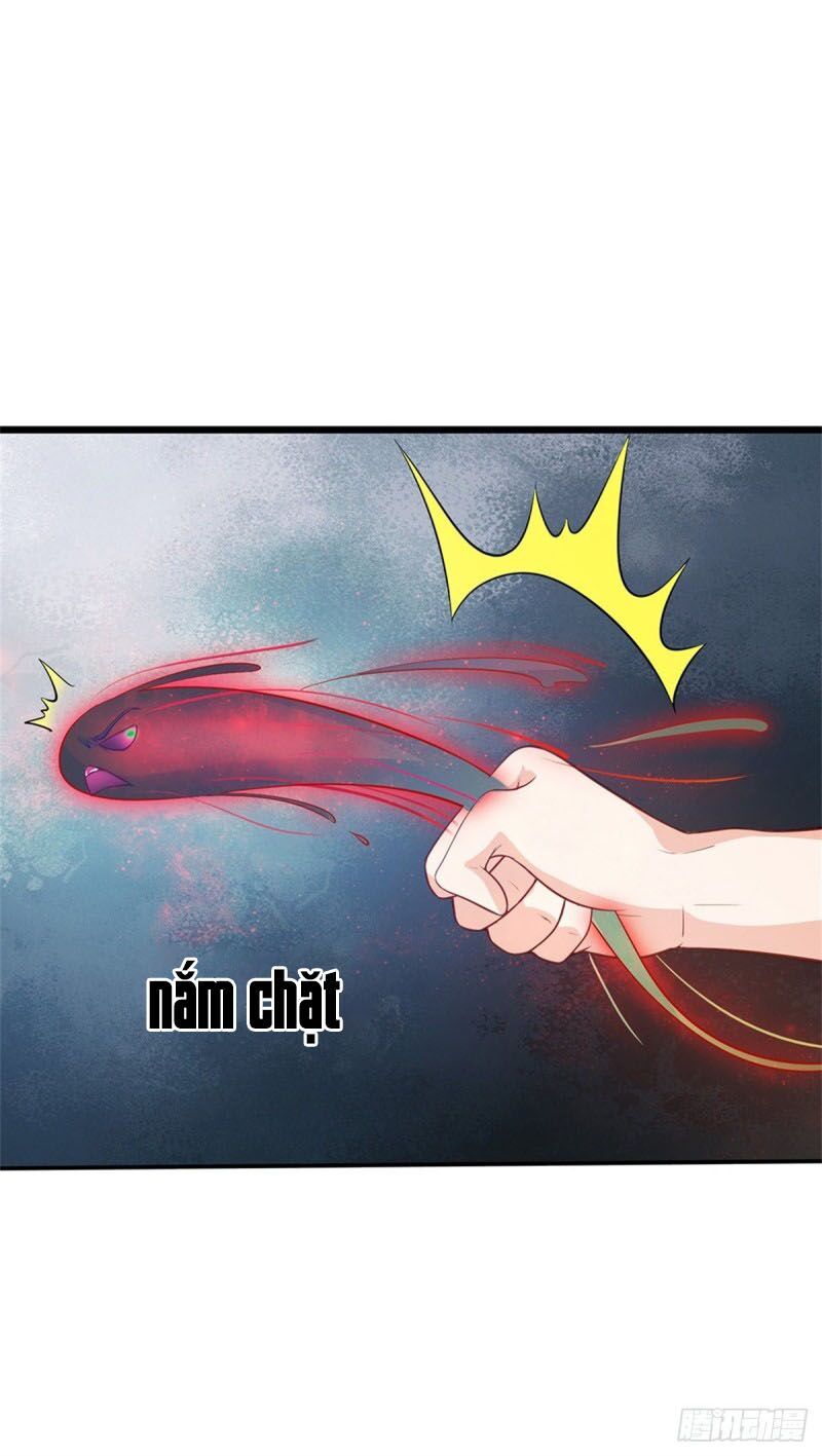 đọc truyện Ngạo Thị Thiên Địa Chương 170 ảnh 11 tại Thiên Thai Truyện