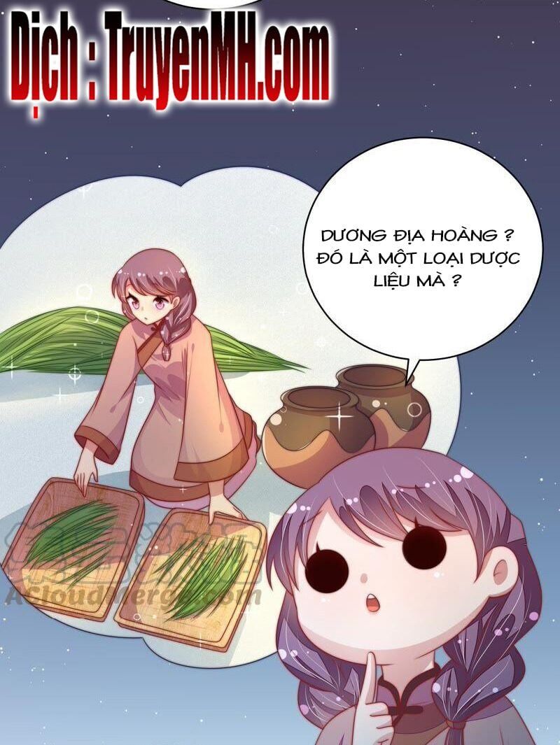 đọc truyện Ngày Nào Thiếu Soái Cũng Ghen Chương 219 ảnh 5 tại Thiên Thai Truyện