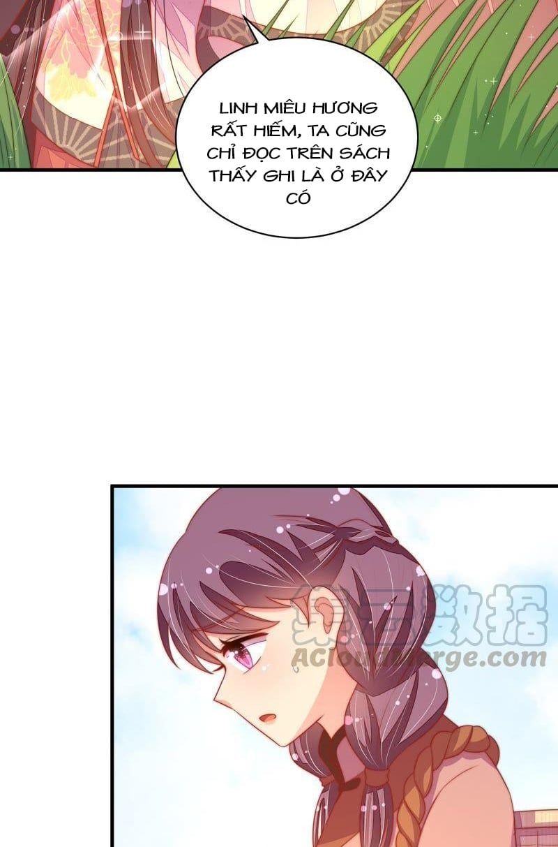 đọc truyện Ngày Nào Thiếu Soái Cũng Ghen Chương 220 ảnh 12 tại Thiên Thai Truyện