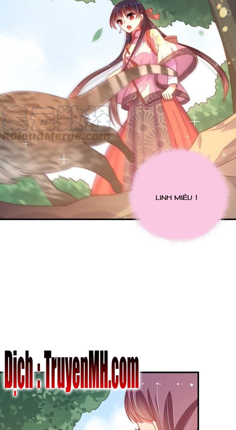 đọc truyện Ngày Nào Thiếu Soái Cũng Ghen Chương 221 ảnh 5 tại Thiên Thai Truyện