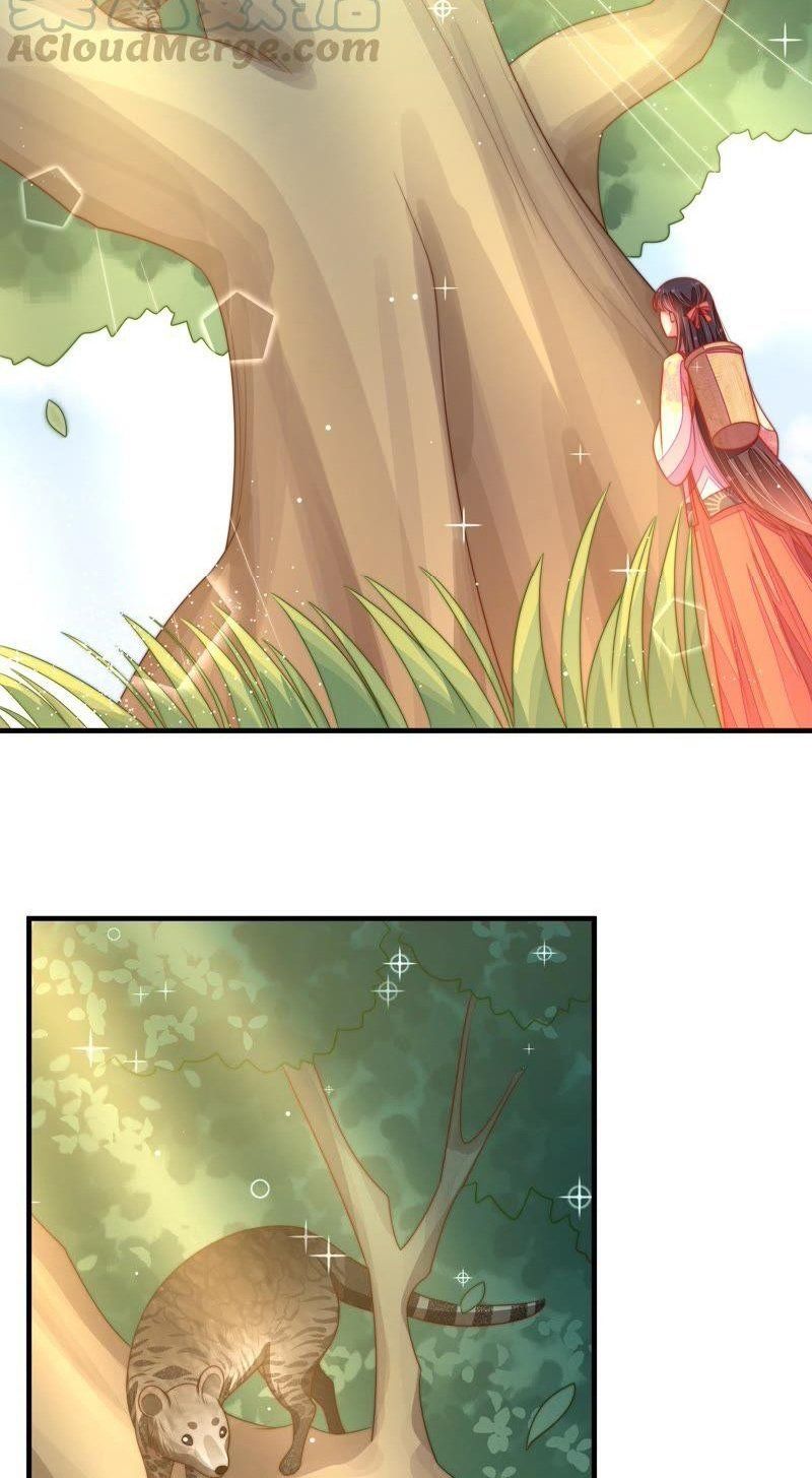 đọc truyện Ngày Nào Thiếu Soái Cũng Ghen Chương 221 ảnh 8 tại Thiên Thai Truyện