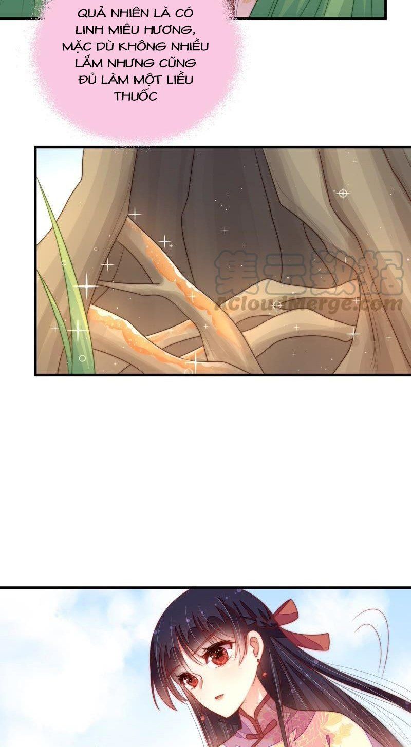 đọc truyện Ngày Nào Thiếu Soái Cũng Ghen Chương 221 ảnh 10 tại Thiên Thai Truyện