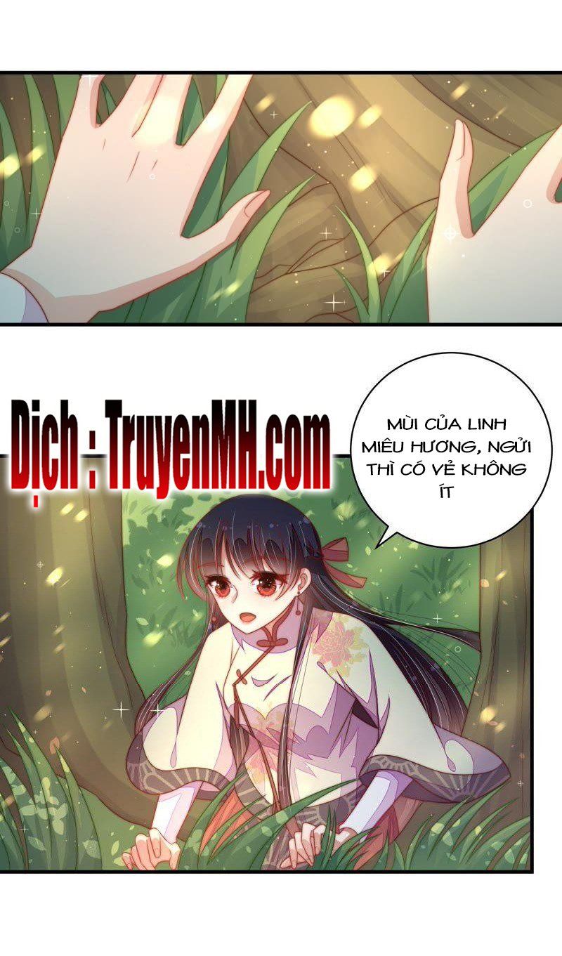 đọc truyện Ngày Nào Thiếu Soái Cũng Ghen Chương 226 ảnh 4 tại Thiên Thai Truyện