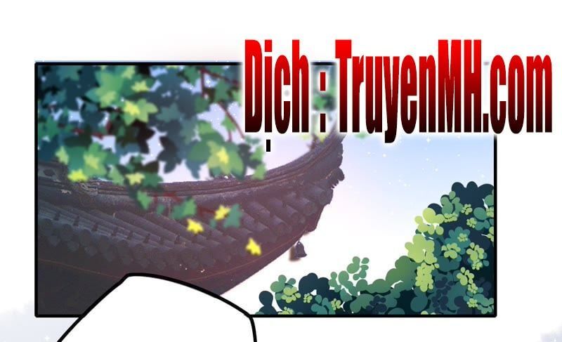 đọc truyện Ngày Nào Thiếu Soái Cũng Ghen Chương 23 ảnh 4 tại Thiên Thai Truyện