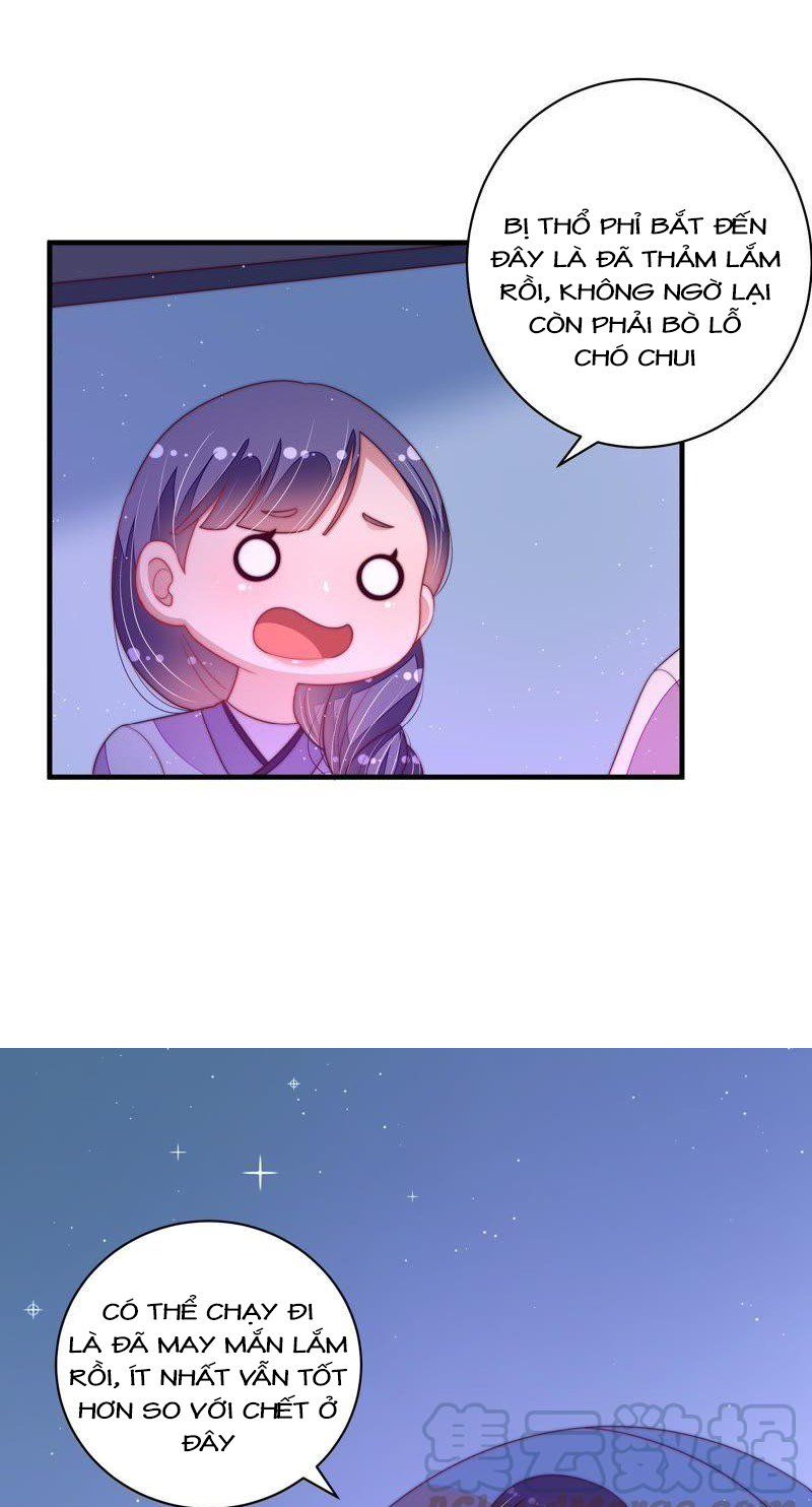 đọc truyện Ngày Nào Thiếu Soái Cũng Ghen Chương 237 ảnh 8 tại Thiên Thai Truyện