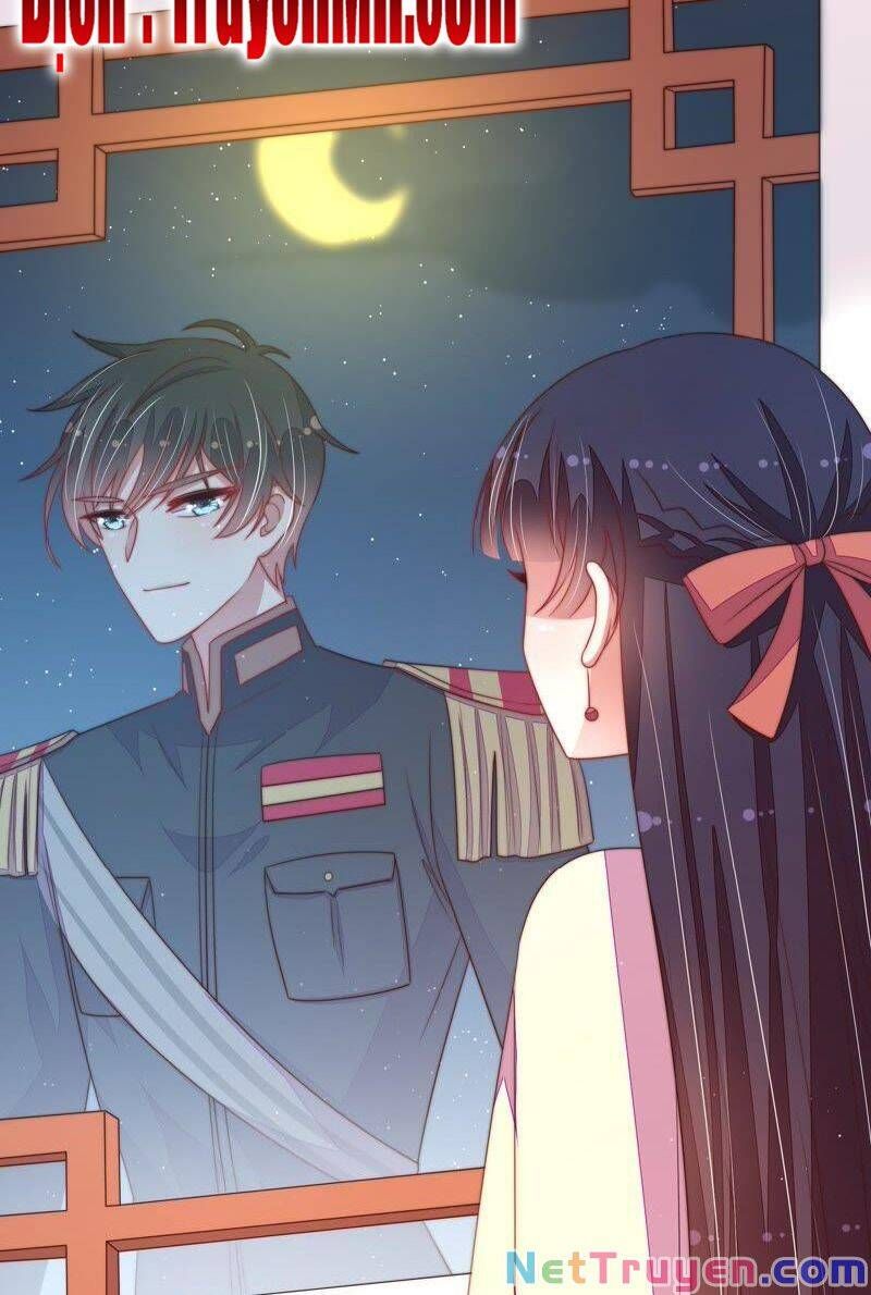 đọc truyện Ngày Nào Thiếu Soái Cũng Ghen Chương 242 ảnh 11 tại Thiên Thai Truyện