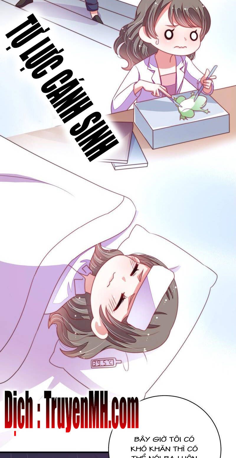 đọc truyện Ngày Nào Thiếu Soái Cũng Ghen Chương 254 ảnh 12 tại Thiên Thai Truyện