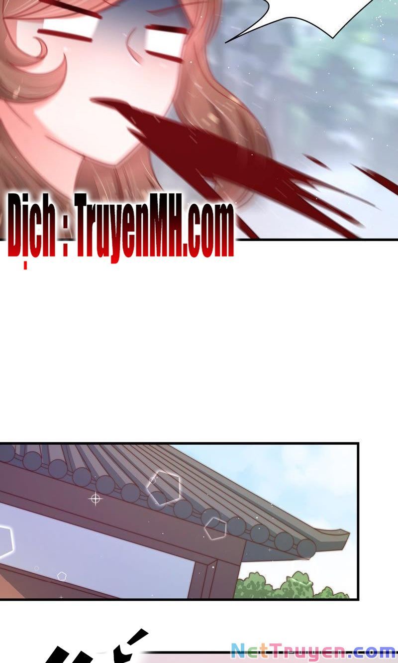 đọc truyện Ngày Nào Thiếu Soái Cũng Ghen Chương 256 ảnh 7 tại Thiên Thai Truyện