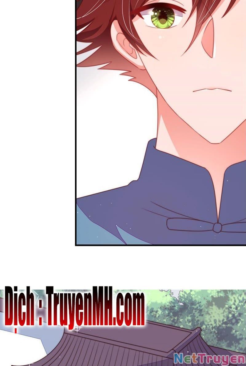 đọc truyện Ngày Nào Thiếu Soái Cũng Ghen Chương 264 ảnh 10 tại Thiên Thai Truyện