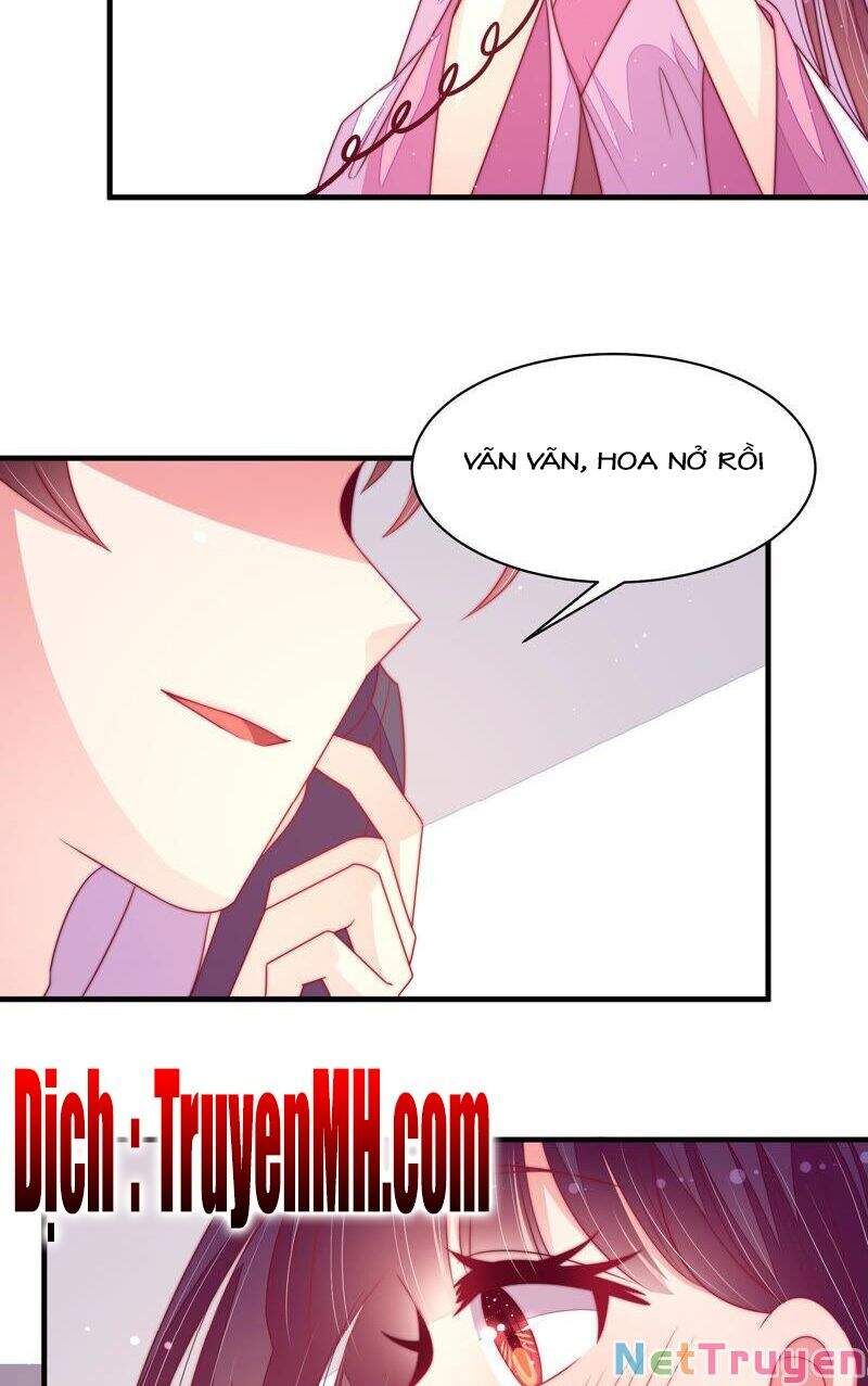 đọc truyện Ngày Nào Thiếu Soái Cũng Ghen Chương 310 ảnh 13 tại Thiên Thai Truyện