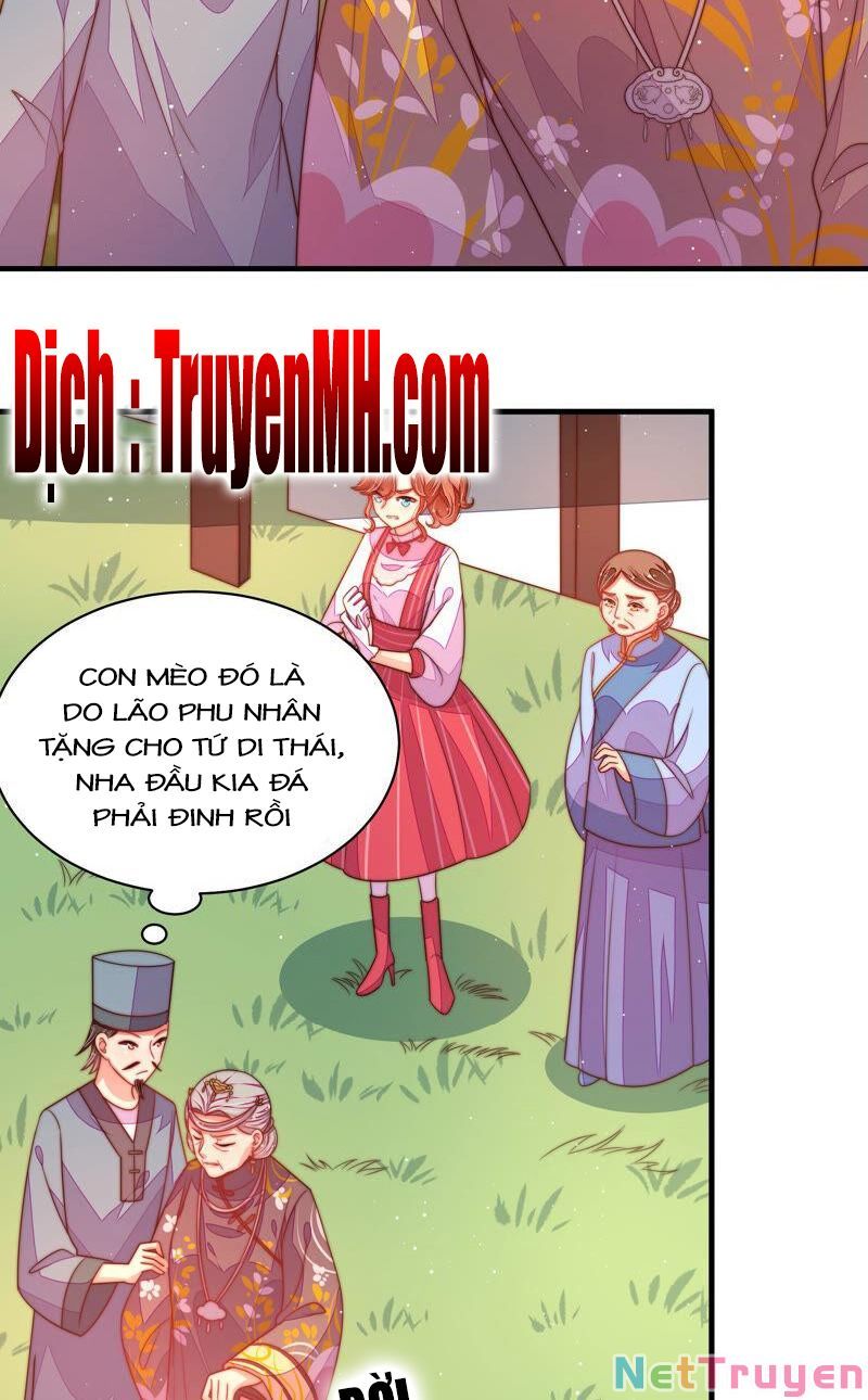 đọc truyện Ngày Nào Thiếu Soái Cũng Ghen Chương 321 ảnh 11 tại Thiên Thai Truyện