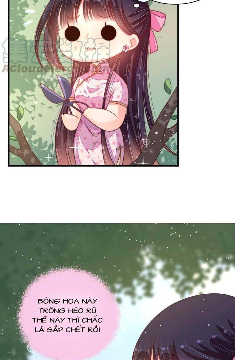 đọc truyện Ngày Nào Thiếu Soái Cũng Ghen Chương 343 ảnh 19 tại Thiên Thai Truyện