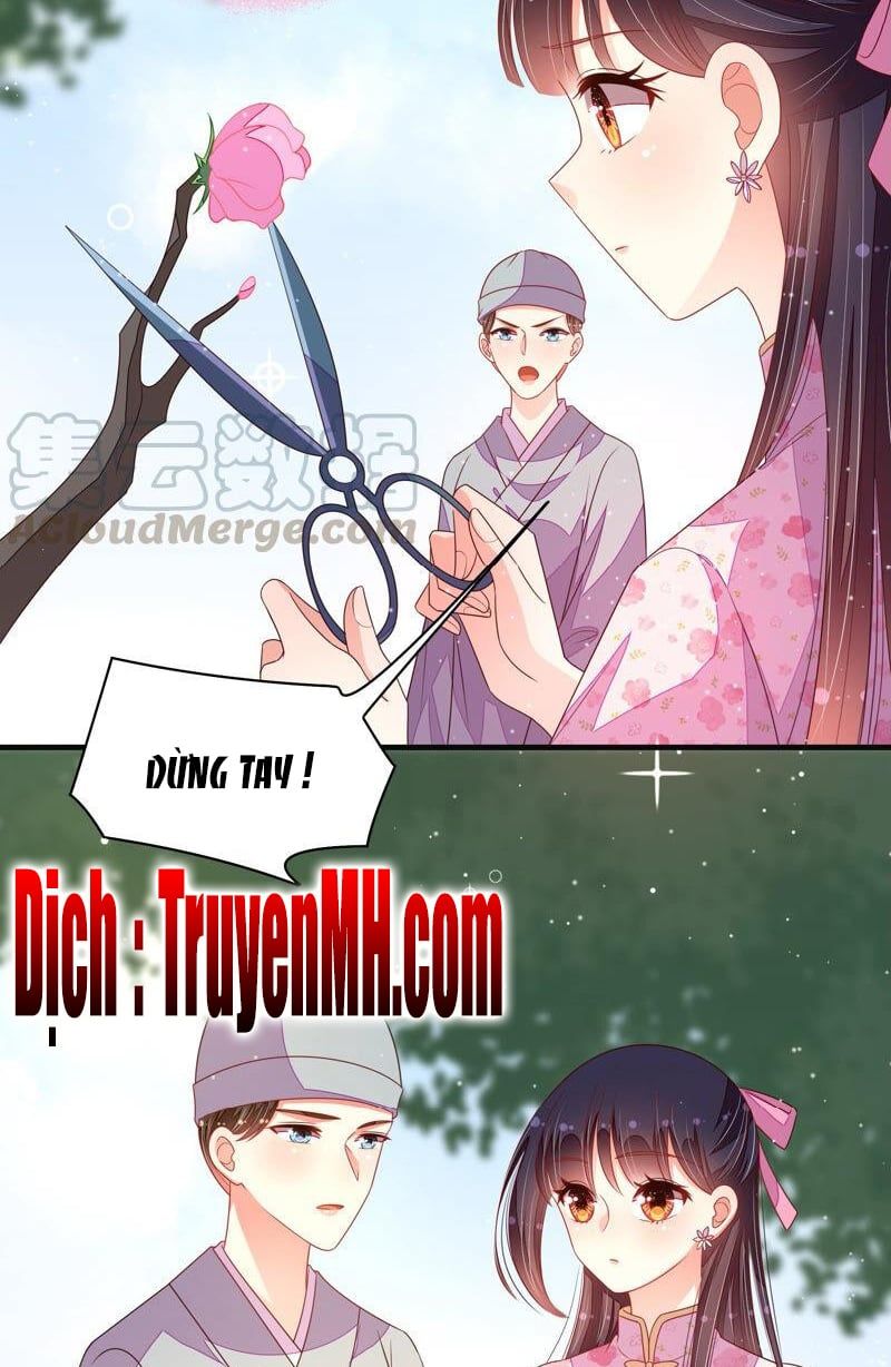 đọc truyện Ngày Nào Thiếu Soái Cũng Ghen Chương 343 ảnh 20 tại Thiên Thai Truyện