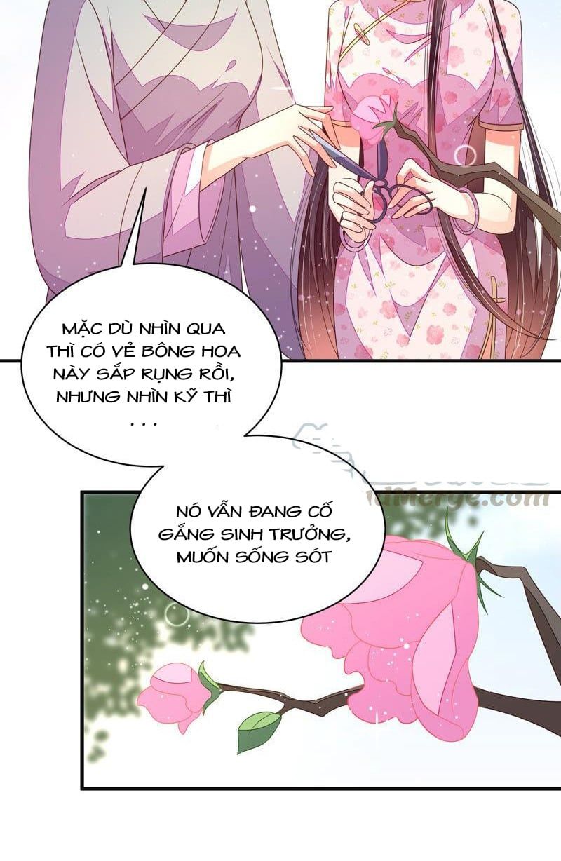 đọc truyện Ngày Nào Thiếu Soái Cũng Ghen Chương 343 ảnh 21 tại Thiên Thai Truyện