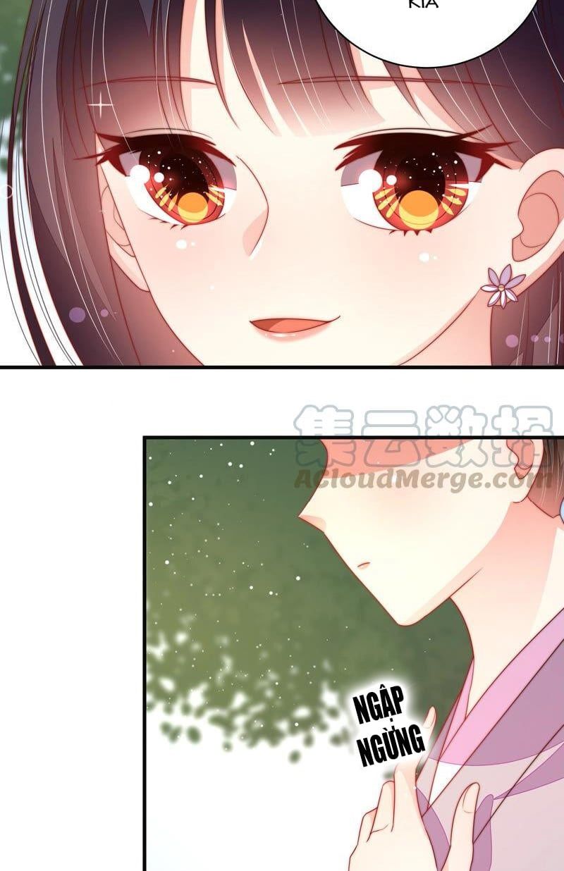 đọc truyện Ngày Nào Thiếu Soái Cũng Ghen Chương 344 ảnh 5 tại Thiên Thai Truyện