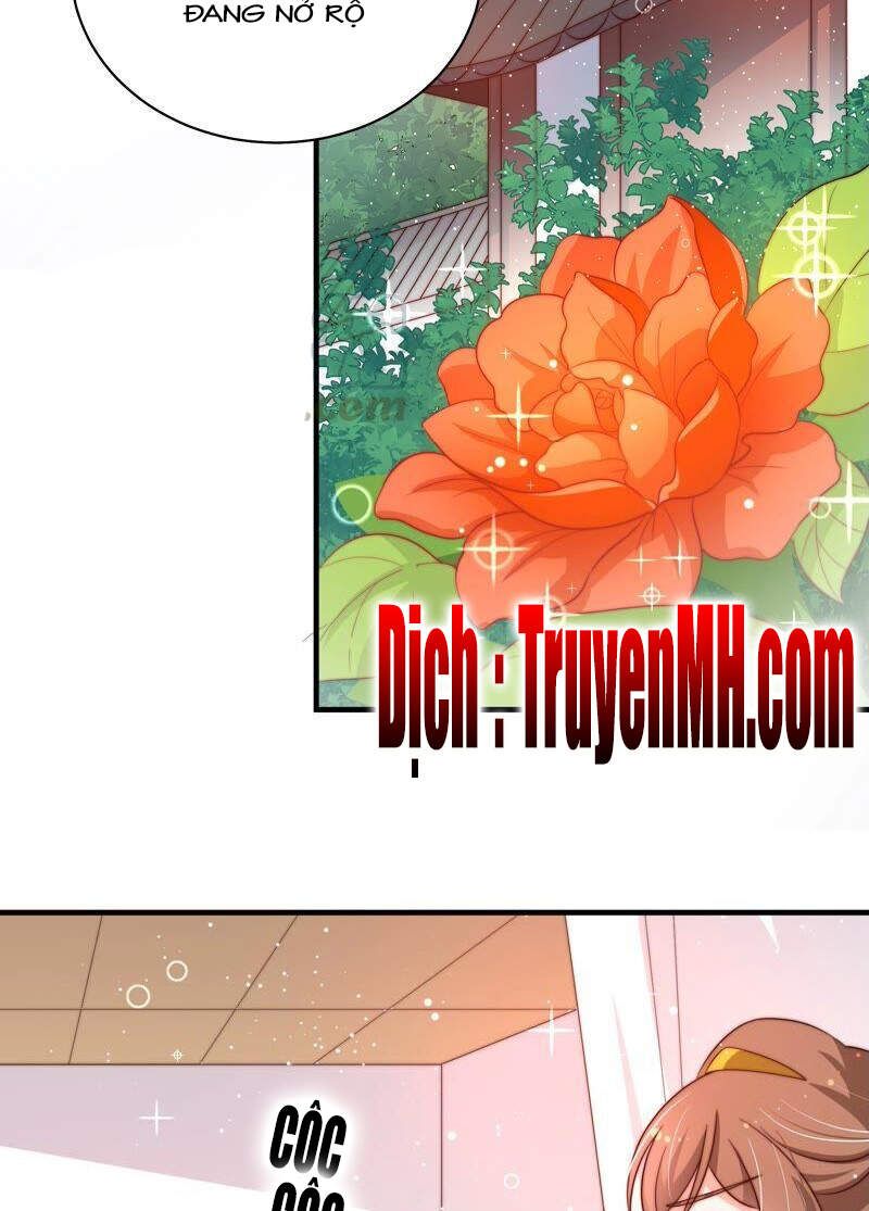 đọc truyện Ngày Nào Thiếu Soái Cũng Ghen Chương 364 ảnh 11 tại Thiên Thai Truyện