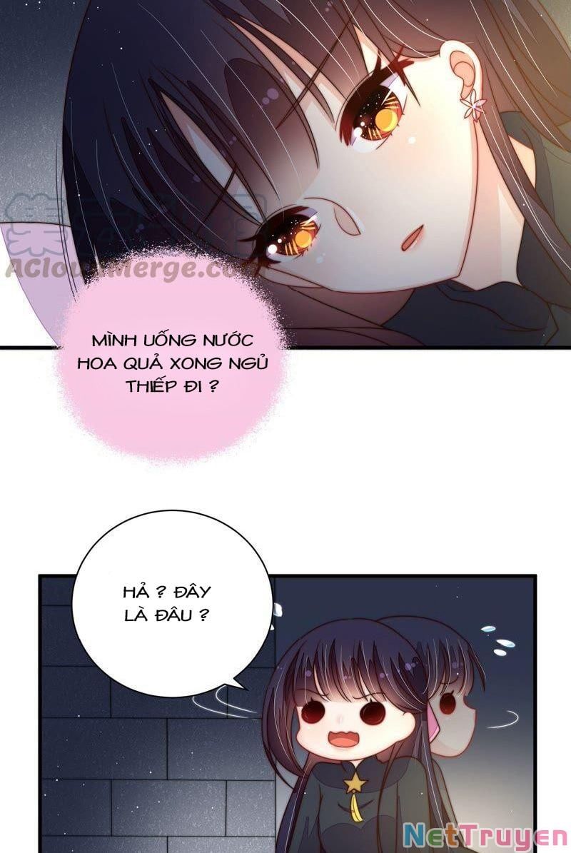 đọc truyện Ngày Nào Thiếu Soái Cũng Ghen Chương 377 ảnh 13 tại Thiên Thai Truyện