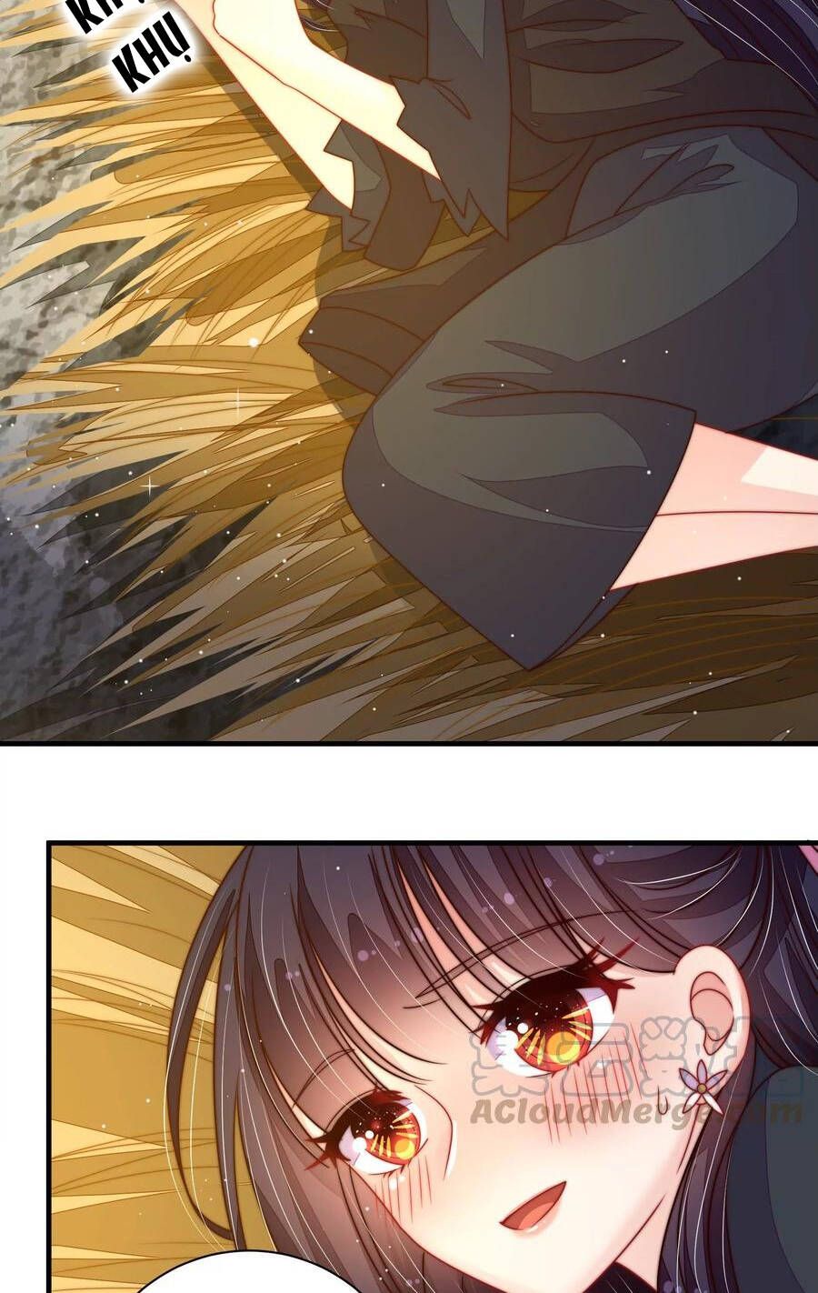 đọc truyện Ngày Nào Thiếu Soái Cũng Ghen Chương 393 ảnh 12 tại Thiên Thai Truyện