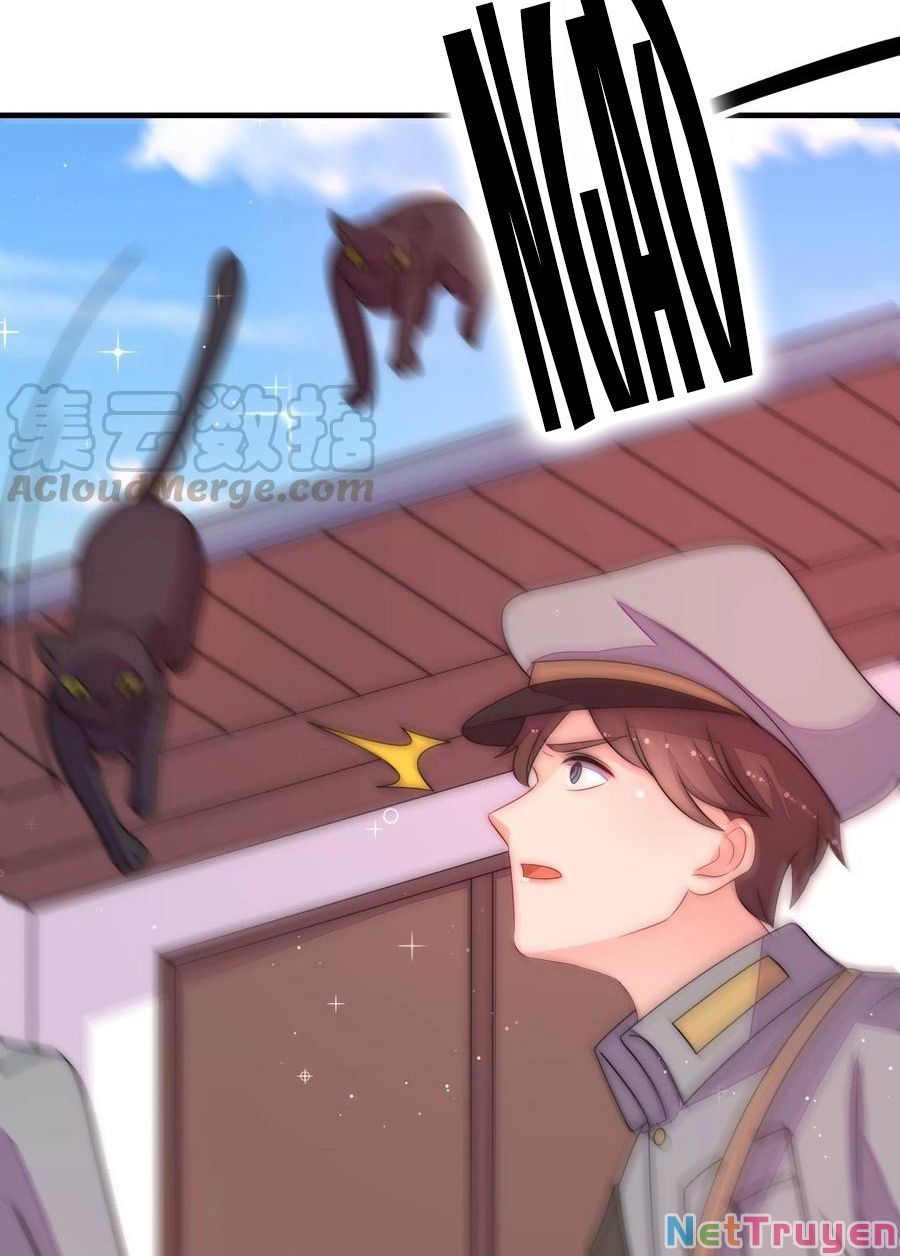 đọc truyện Ngày Nào Thiếu Soái Cũng Ghen Chương 409 ảnh 14 tại Thiên Thai Truyện