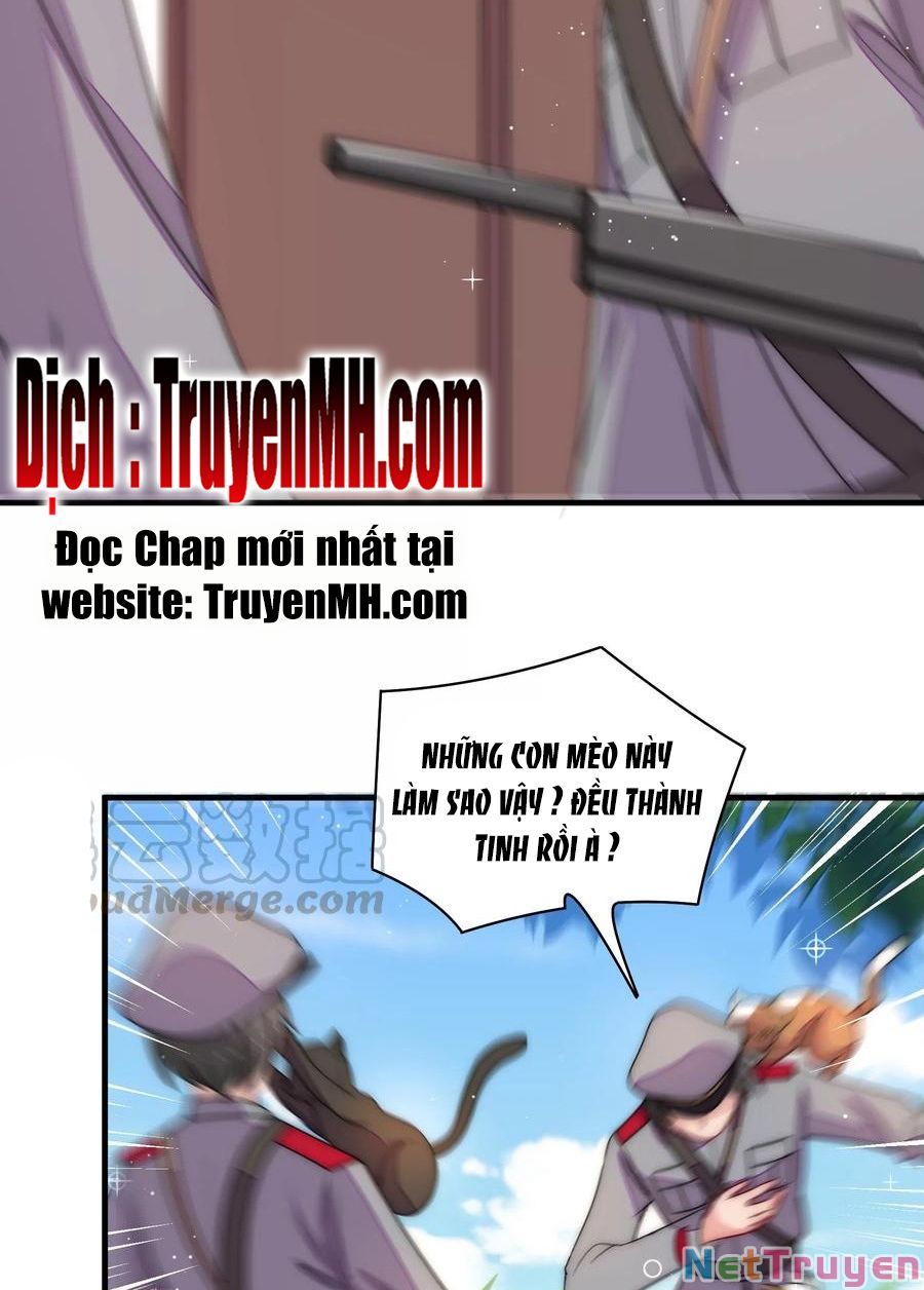 đọc truyện Ngày Nào Thiếu Soái Cũng Ghen Chương 409 ảnh 15 tại Thiên Thai Truyện