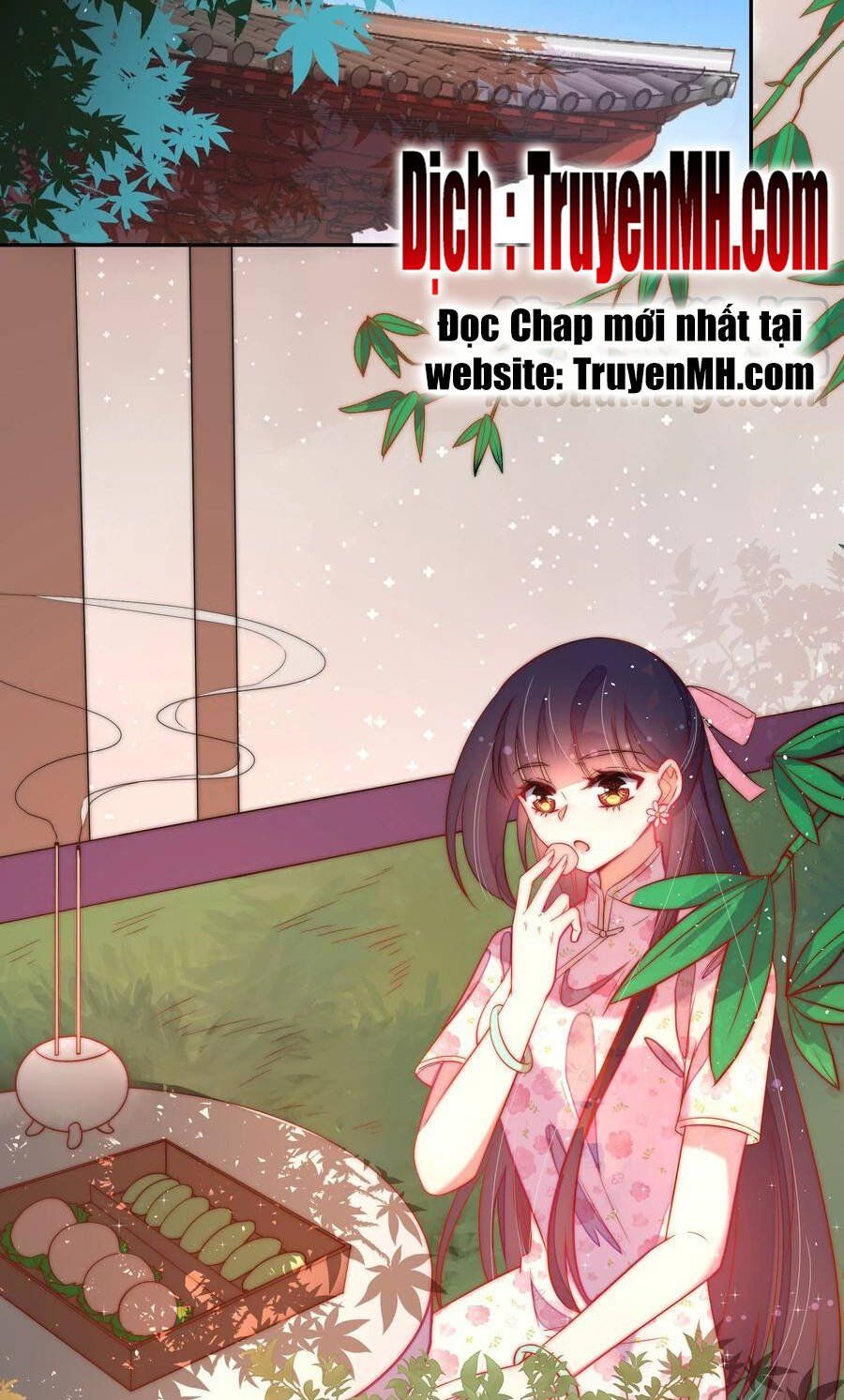 đọc truyện Ngày Nào Thiếu Soái Cũng Ghen Chương 417 ảnh 7 tại Thiên Thai Truyện