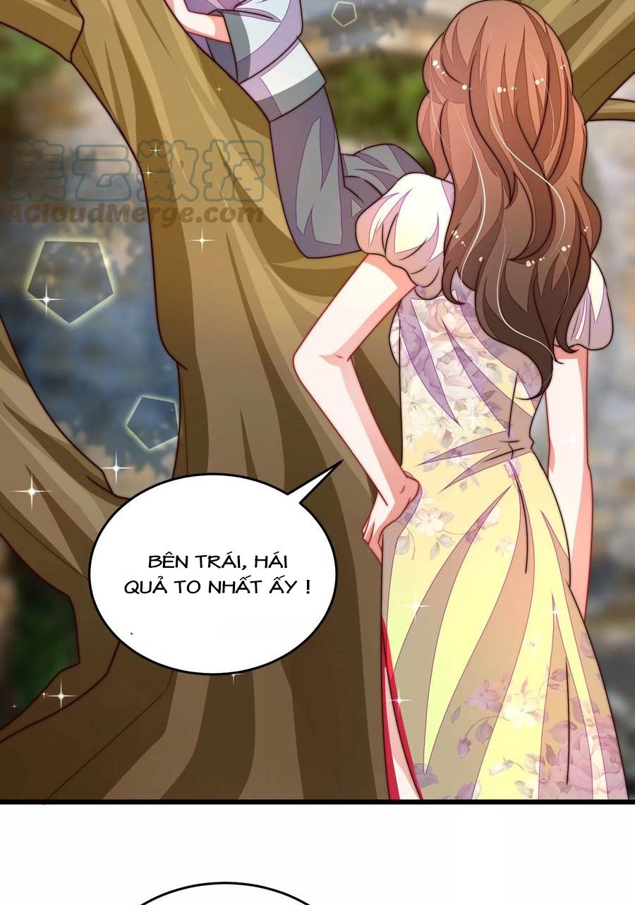 đọc truyện Ngày Nào Thiếu Soái Cũng Ghen Chương 483 ảnh 14 tại Thiên Thai Truyện