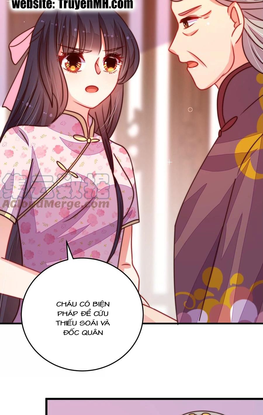 đọc truyện Ngày Nào Thiếu Soái Cũng Ghen Chương 494 ảnh 13 tại Thiên Thai Truyện