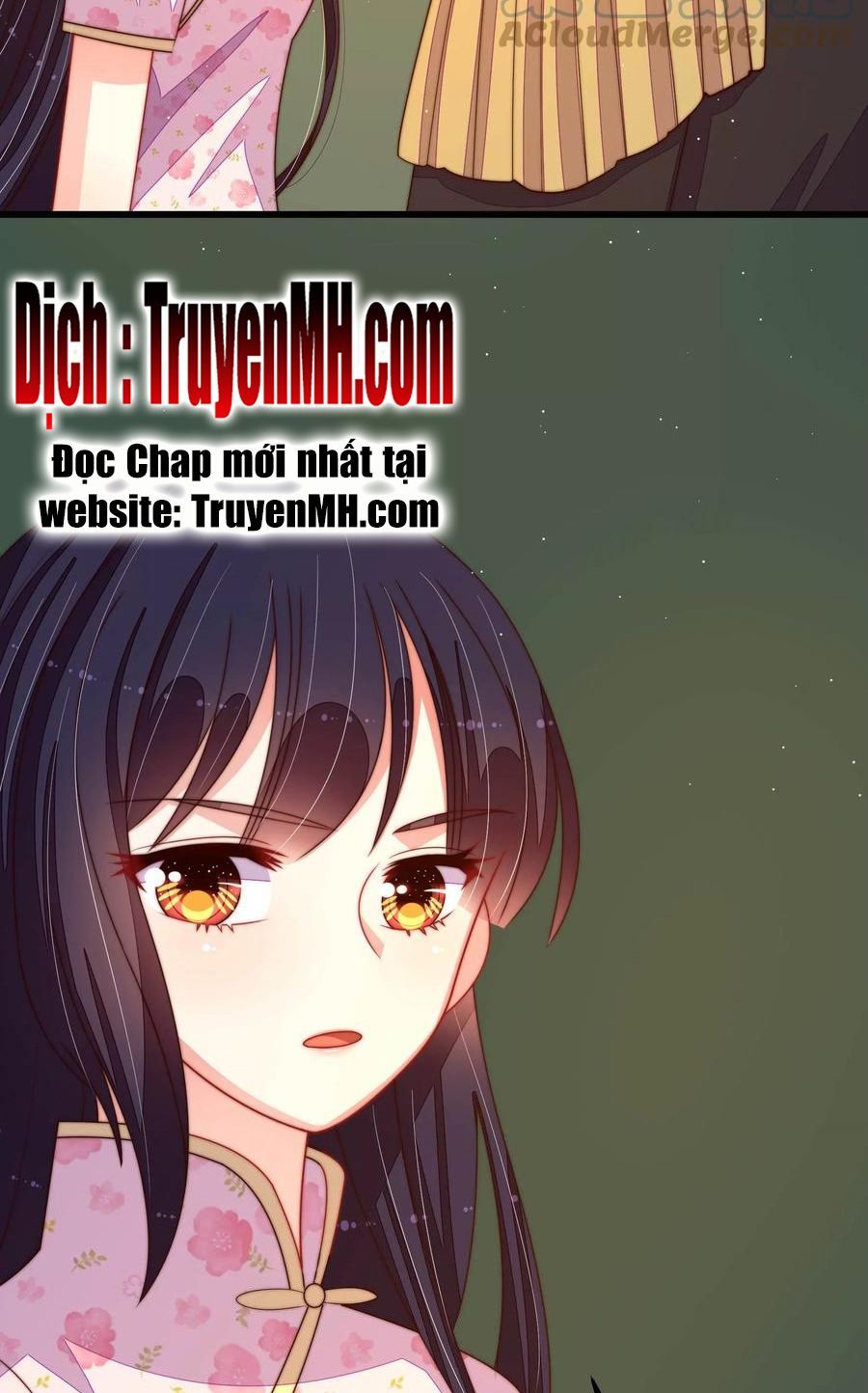 đọc truyện Ngày Nào Thiếu Soái Cũng Ghen Chương 498 ảnh 8 tại Thiên Thai Truyện